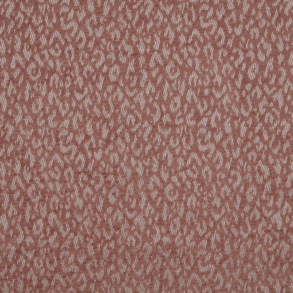 iLiv Wildcat Blush