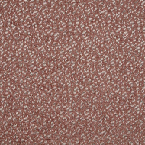 iLiv Wildcat Blush