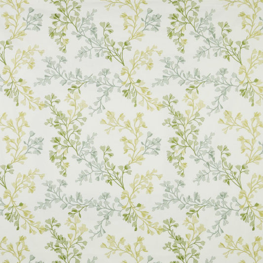 iLiv Willowbrook Eden