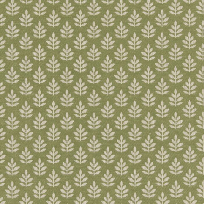 Ashley Wilde Winnie Olive