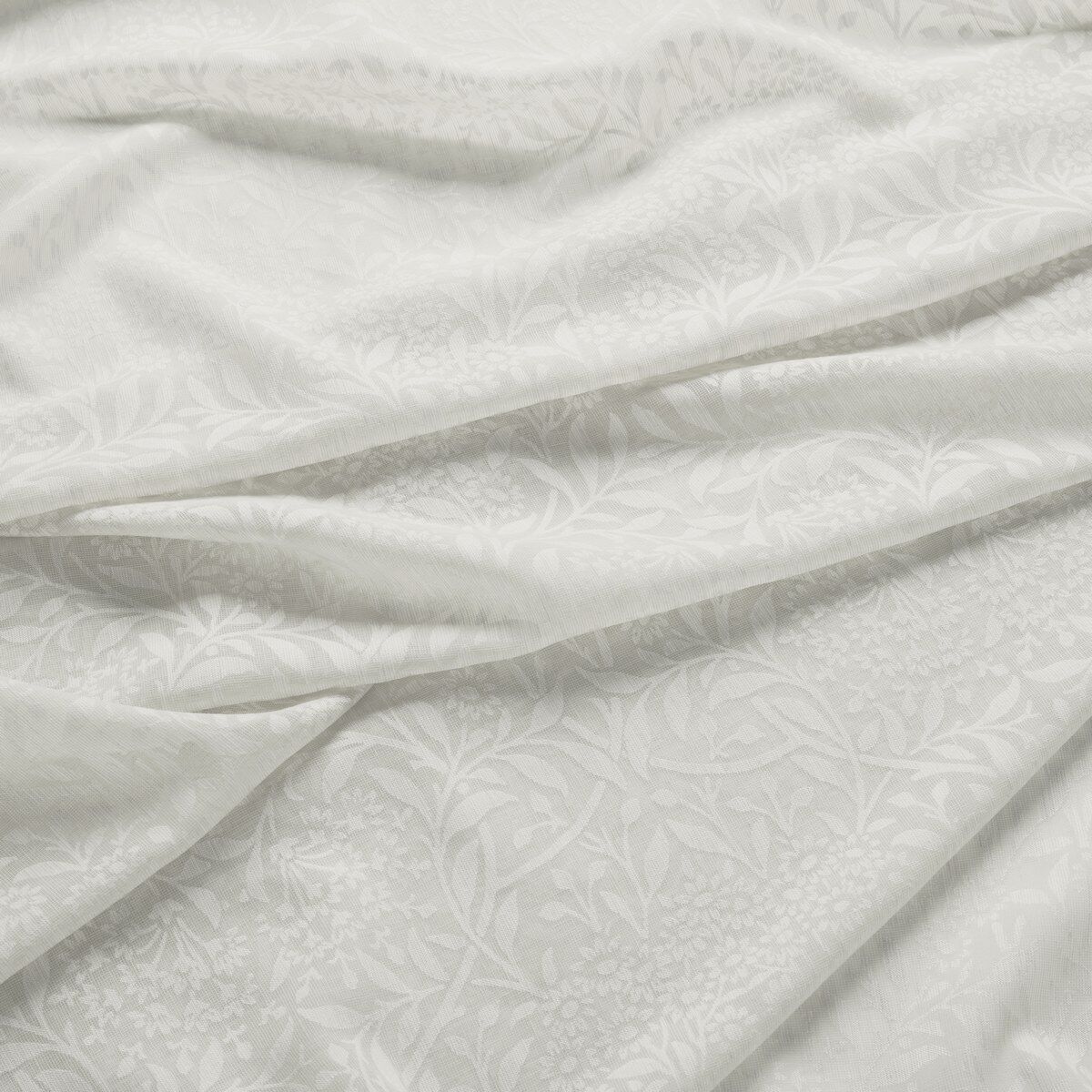 William Morris Michaelmas Daisy Sheer Oat