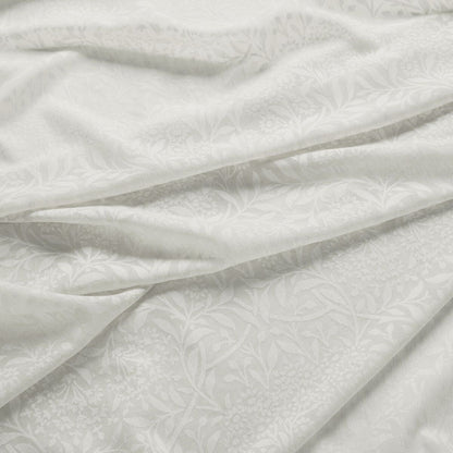 William Morris Michaelmas Daisy Sheer Oat