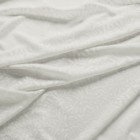 William Morris Michaelmas Daisy Sheer Oat