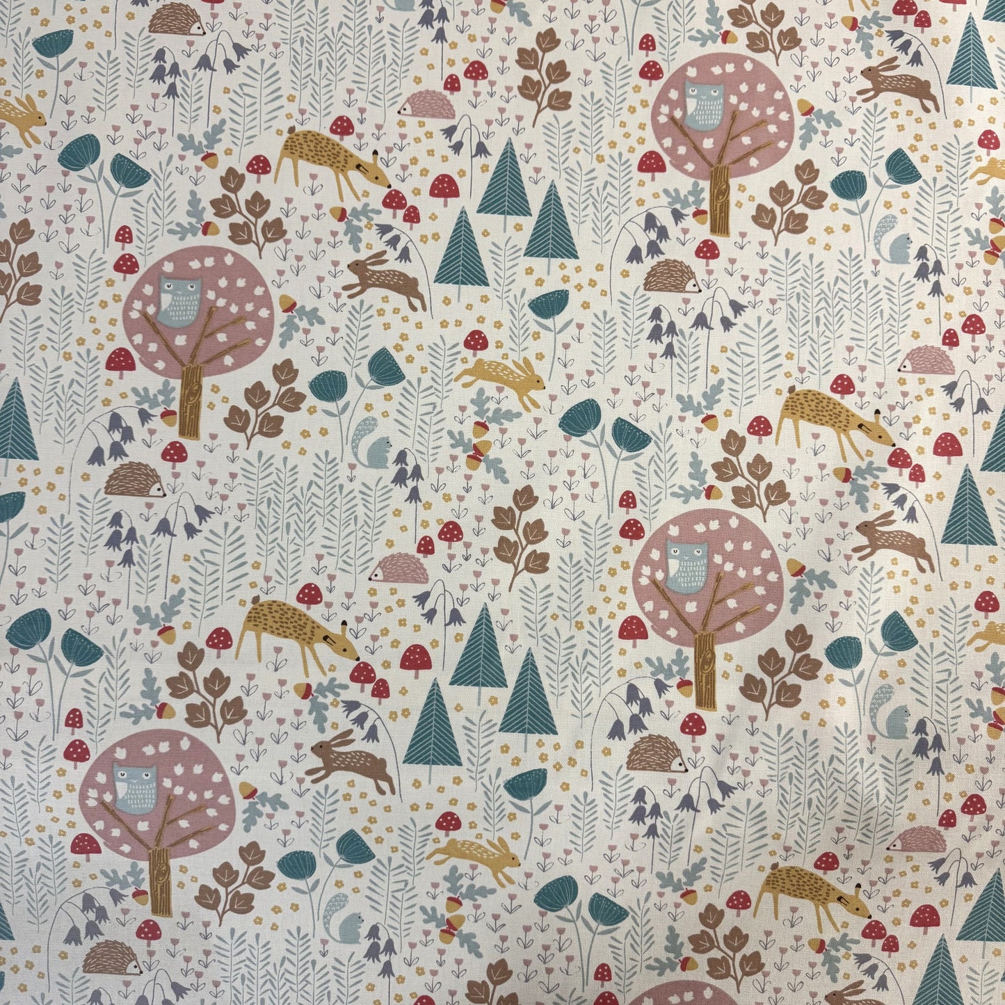 Fryetts Wildwood Wedgewood