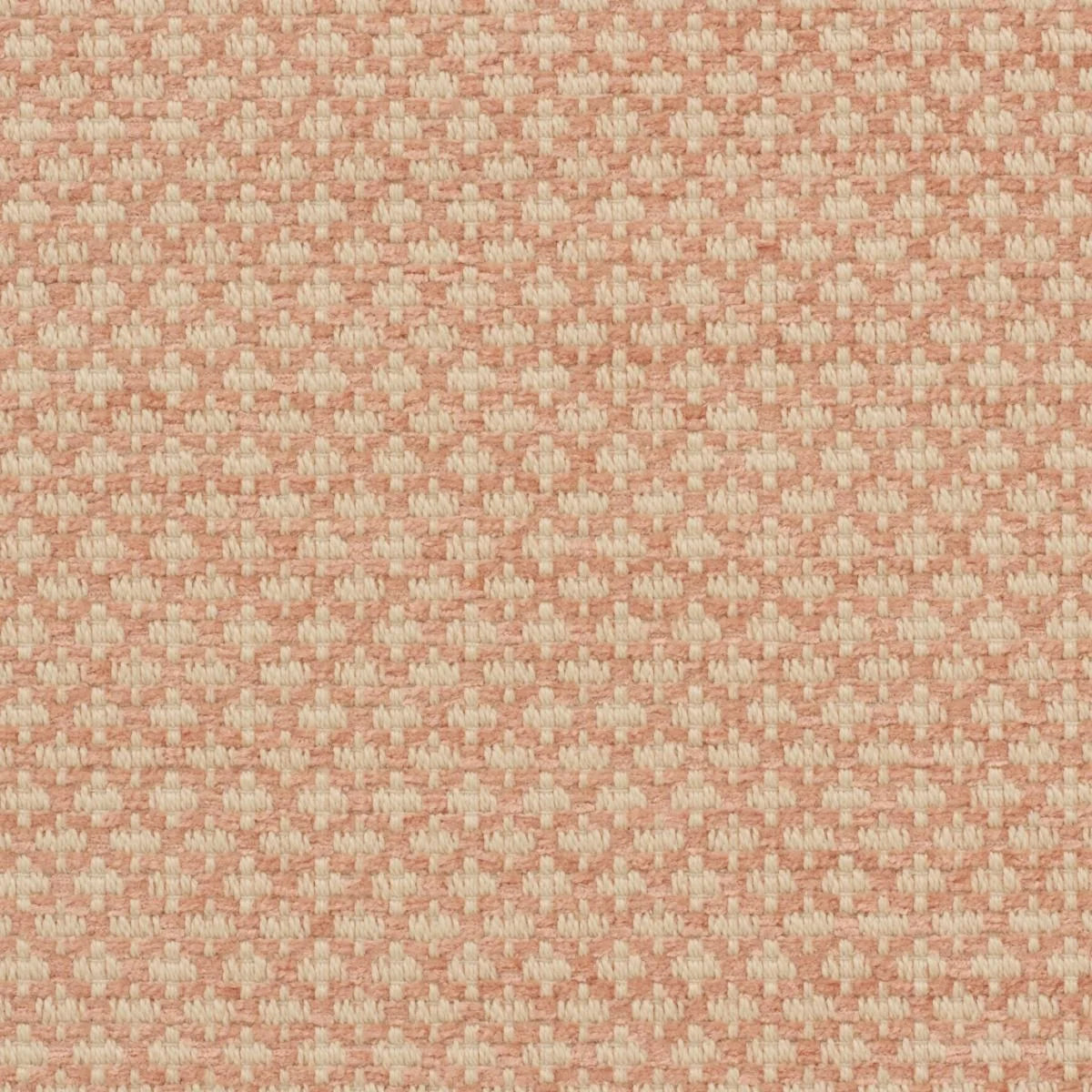 iLiv Ziya Coral