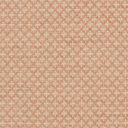 iLiv Ziya Coral