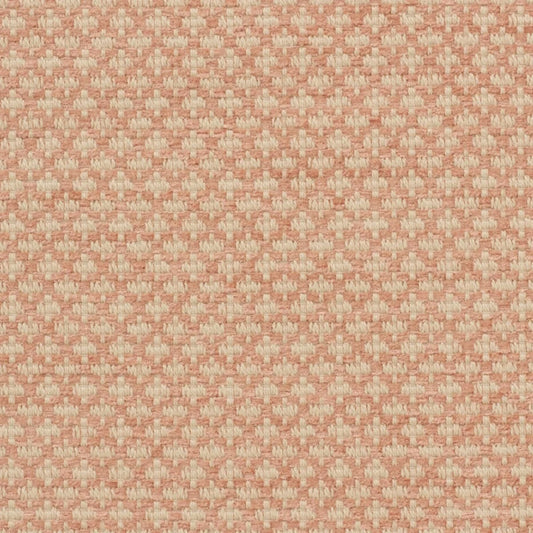 iLiv Ziya Coral