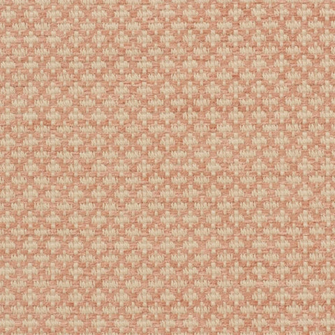 iLiv Ziya Coral