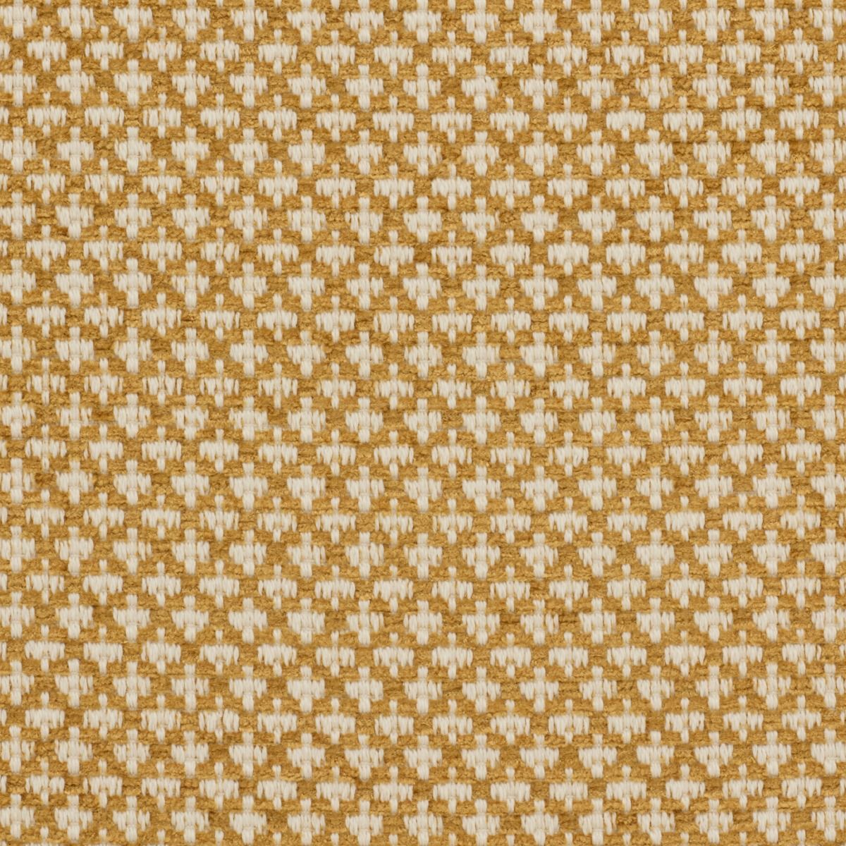iLiv Ziya Saffron