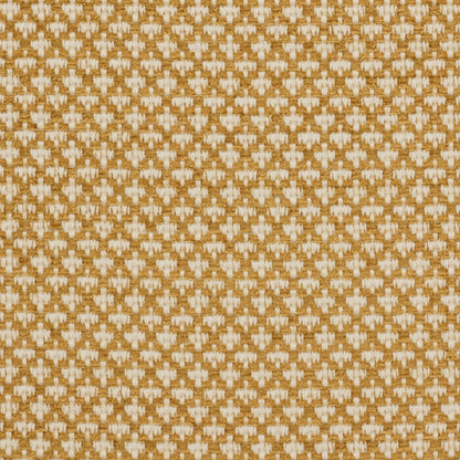 iLiv Ziya Saffron