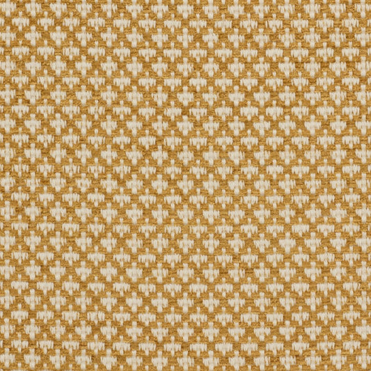 iLiv Ziya Saffron