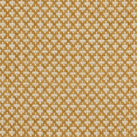 iLiv Ziya Saffron