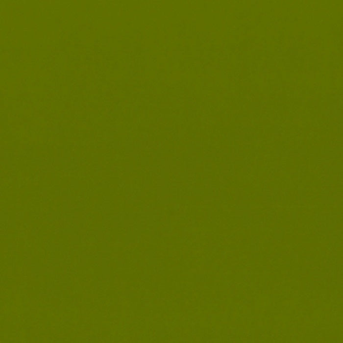 Warwick Zenith Leatherette Lime