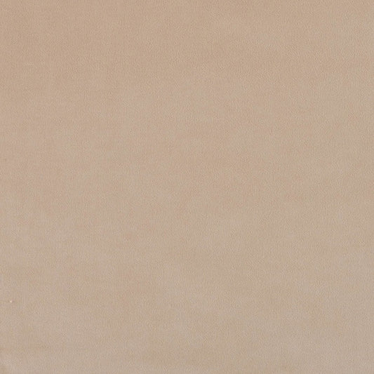 Warwick Plush Petal Velvet