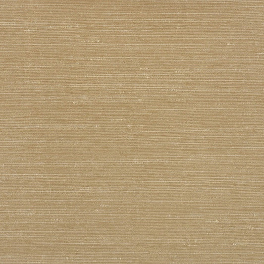 Warwick Sari Champagne