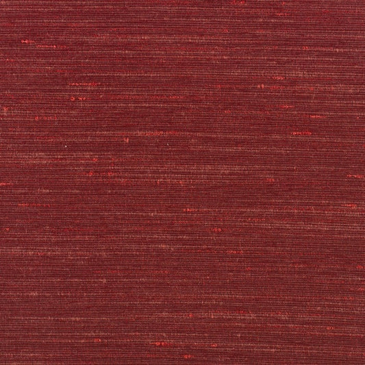 Warwick Sari LadyBird