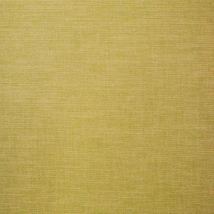 Ashley Wilde Lunar Buttercup