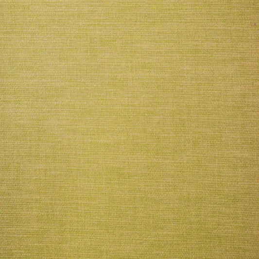 Ashley Wilde Lunar Buttercup