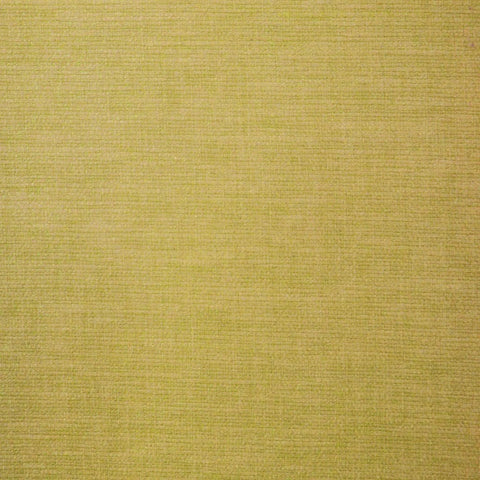 Ashley Wilde Lunar Buttercup