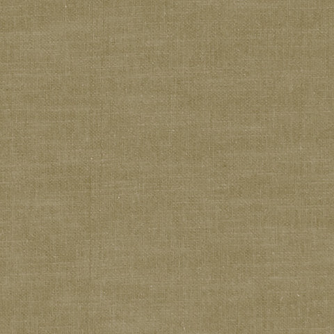 Clarke and Clarke Amalfi Olive