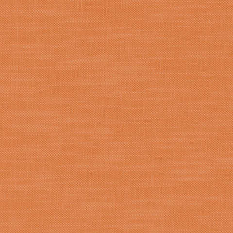 Clarke and Clarke Amalfi Pumpkin