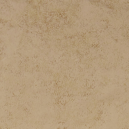 Clarke & Clarke Studio G Nola Taupe