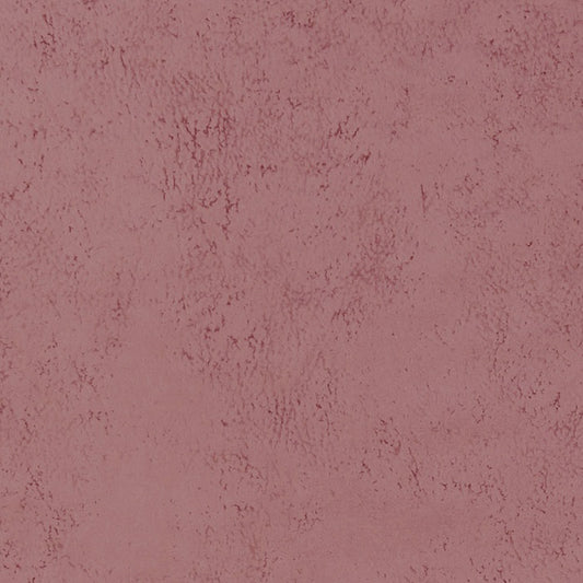 Clarke & Clarke Studio G Nola Blush