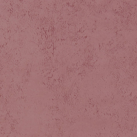 Clarke & Clarke Studio G Nola Blush