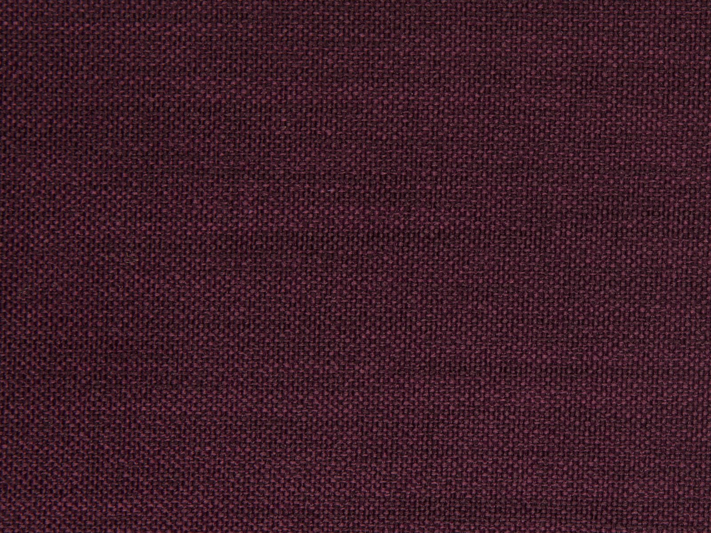 Edmund Bell Enigma Damson 148cm