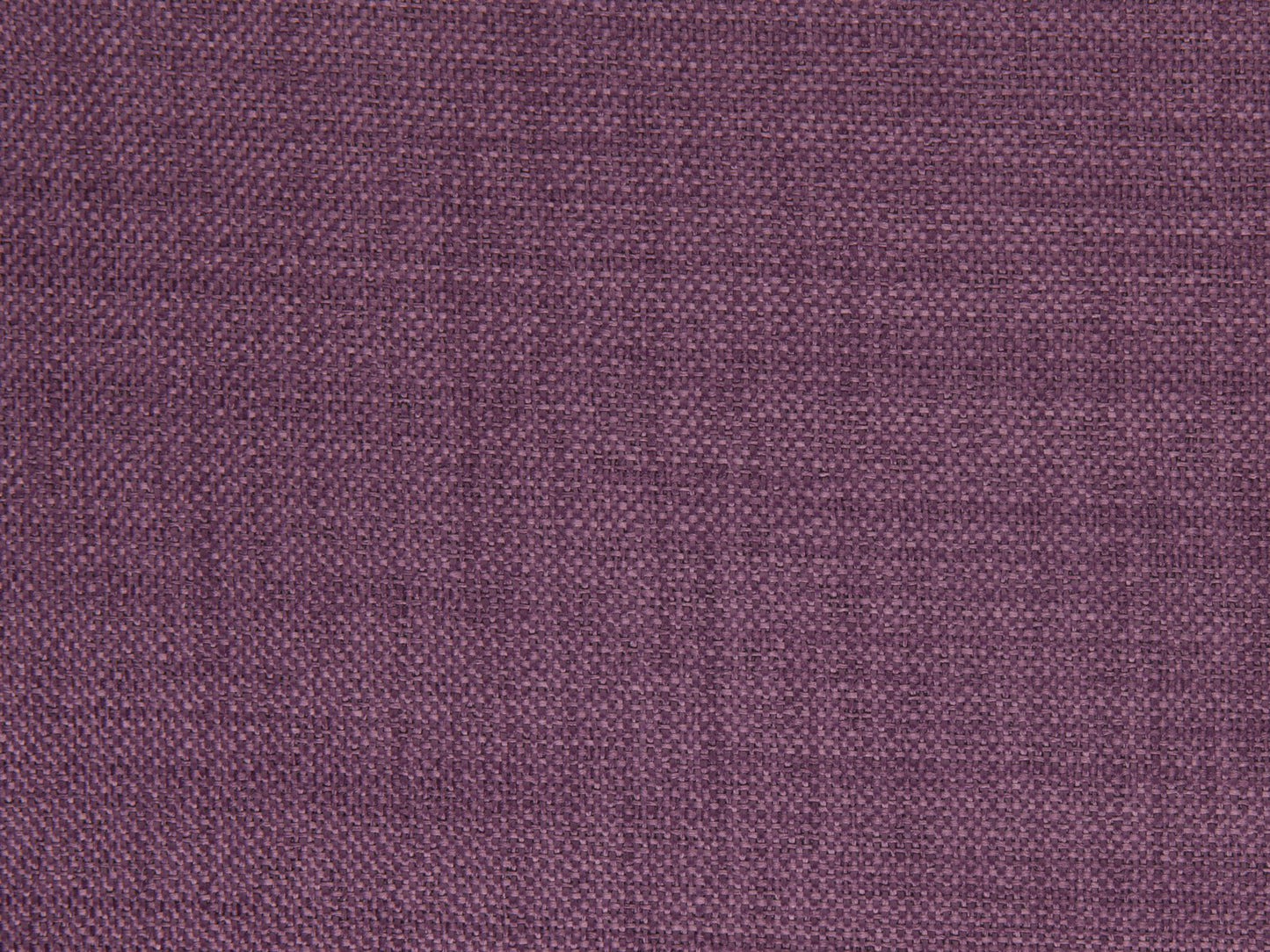 Edmund Bell Enigma Amethyst 148cm