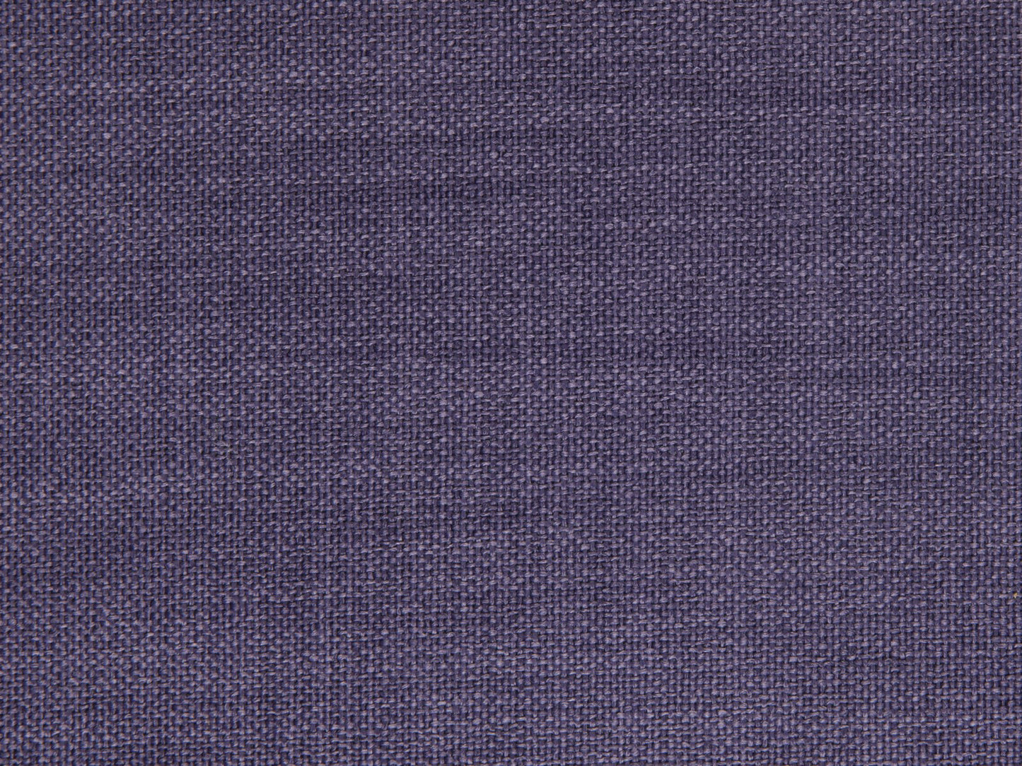 Edmund Bell Enigma Purple