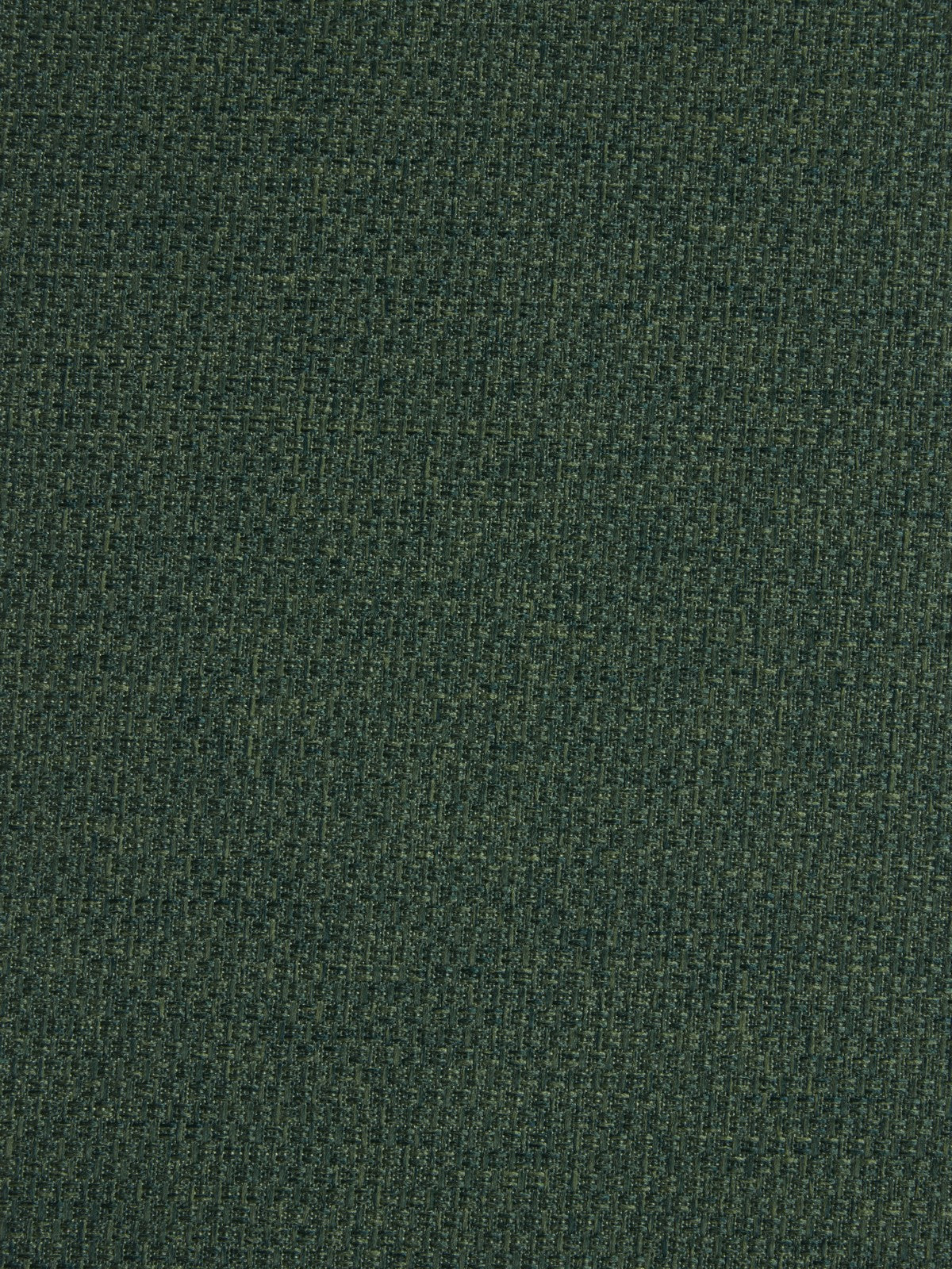 Edmund Bell Strata Forest 290cm