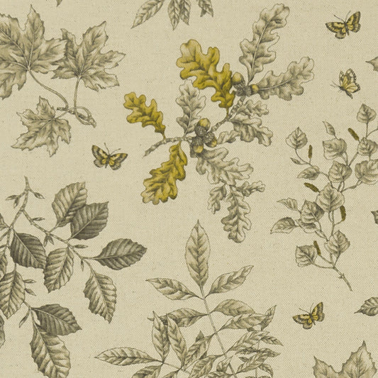 Clarke & Clarke Hortus Linen