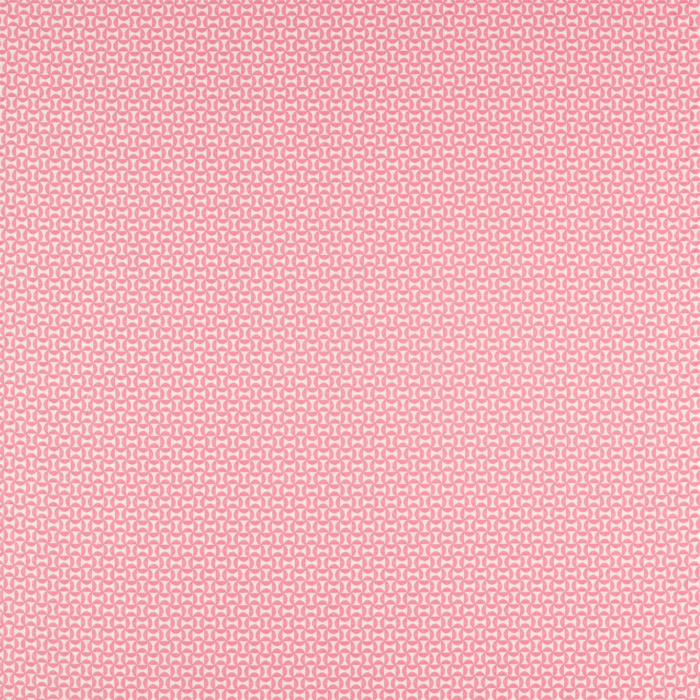 Scion Forma Flamingo