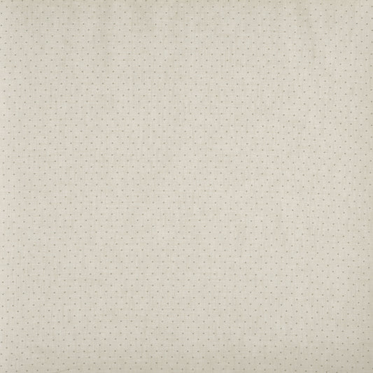 Prestigious Textiles Oxford Canvas