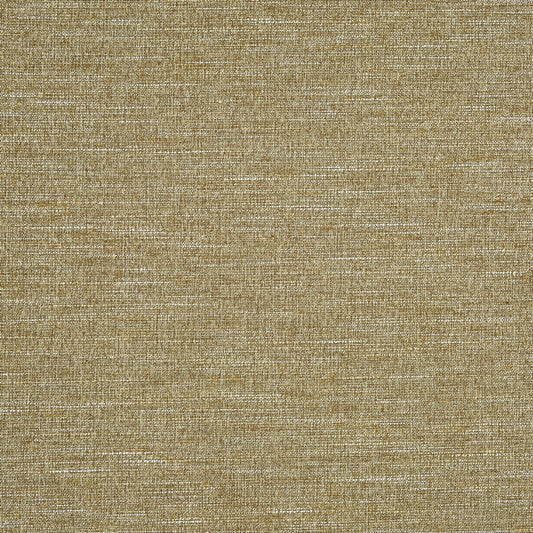 Prestigious Textiles Canvas Straw