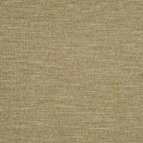 Prestigious Textiles Canvas Straw