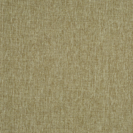 Prestigious Textiles Hessian Moss