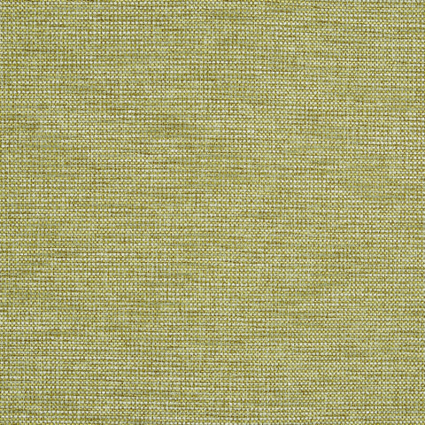 Prestigious Textiles Strand Fern