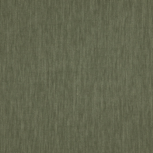 Prestigious Textiles Madeira Moss