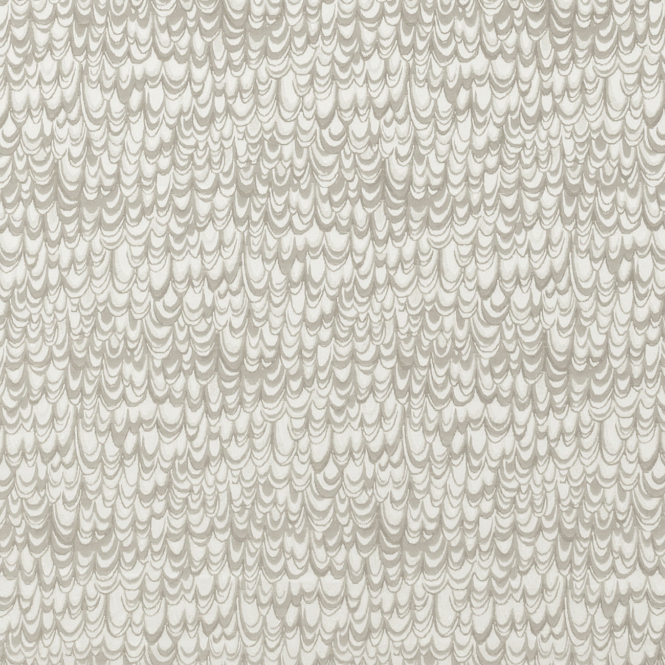 Clarke & Clarke Studio G Erebia Taupe