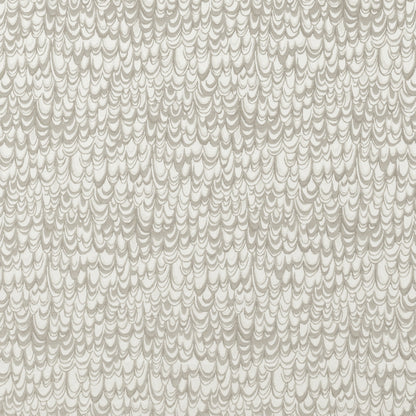 Clarke & Clarke Studio G Erebia Taupe