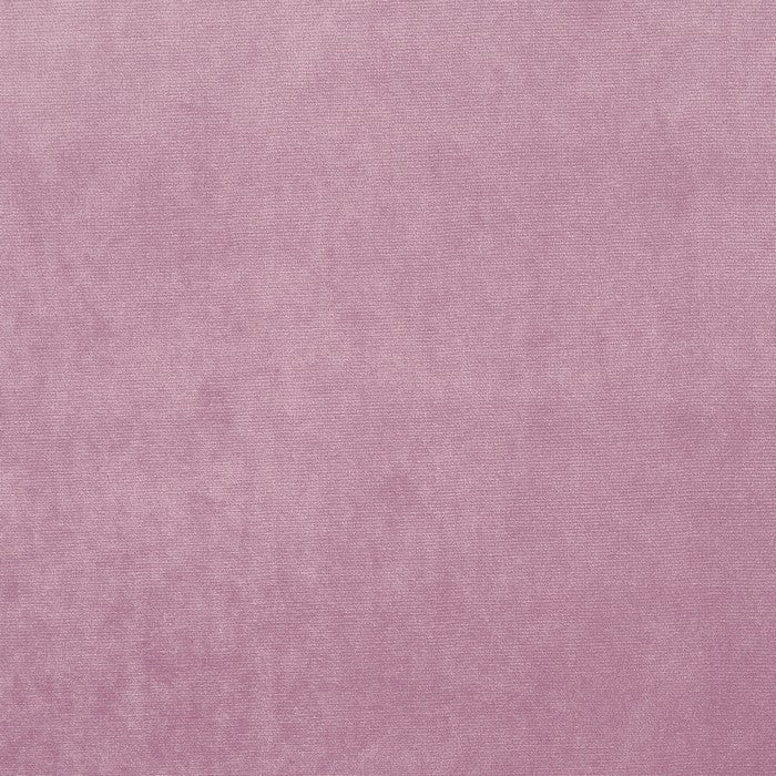 Prestigious Textiles Velour Orchid