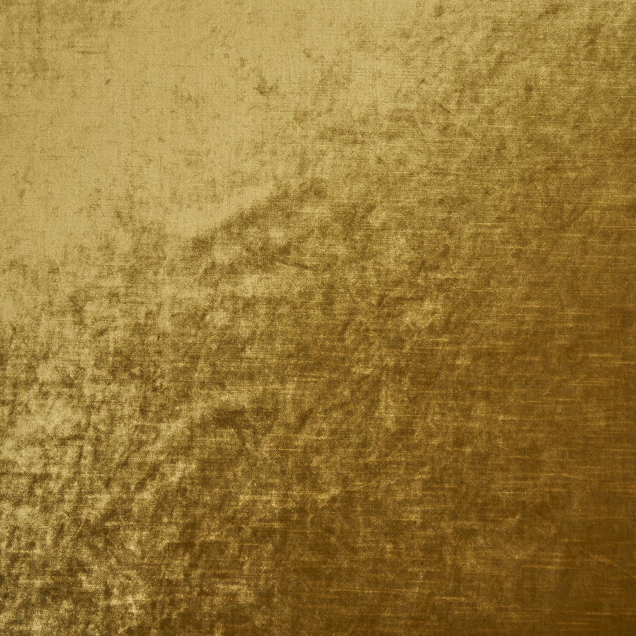 Clarke & Clarke Allure Gold – The Curtain Factory Outlet