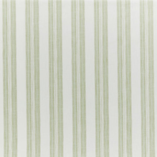 Iliv Barley Stripe Fennel