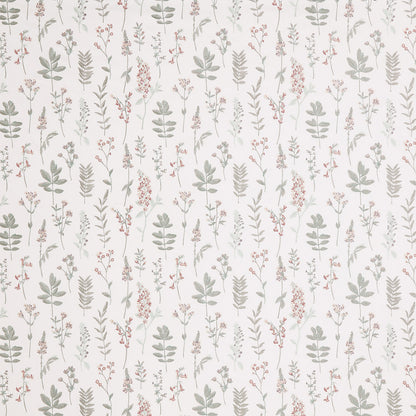 Iliv Cottage Garden Orchid