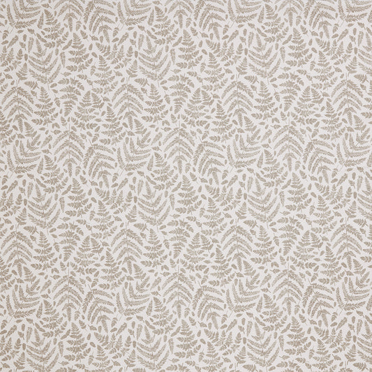 Iliv Fernshore Fennel