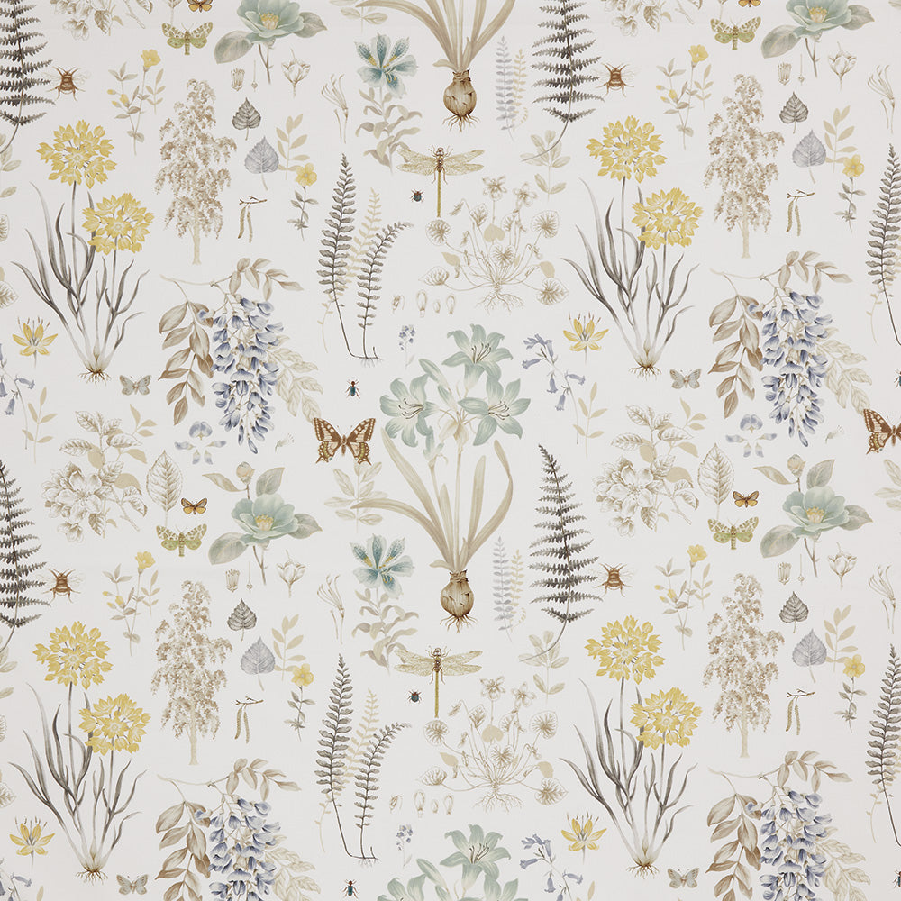 Iliv Observatory Cornsilk