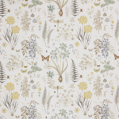 Iliv Observatory Cornsilk