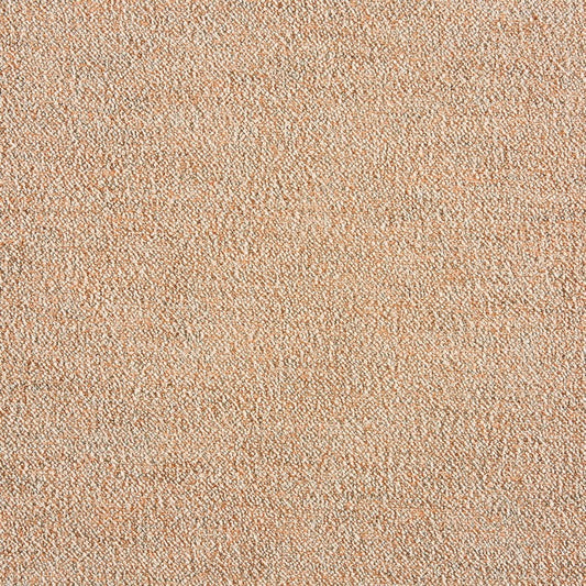 Prestigious Textiles Elsie Apricot